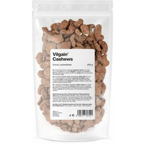 Vilgain Kešu karamelizované kakao 250 g